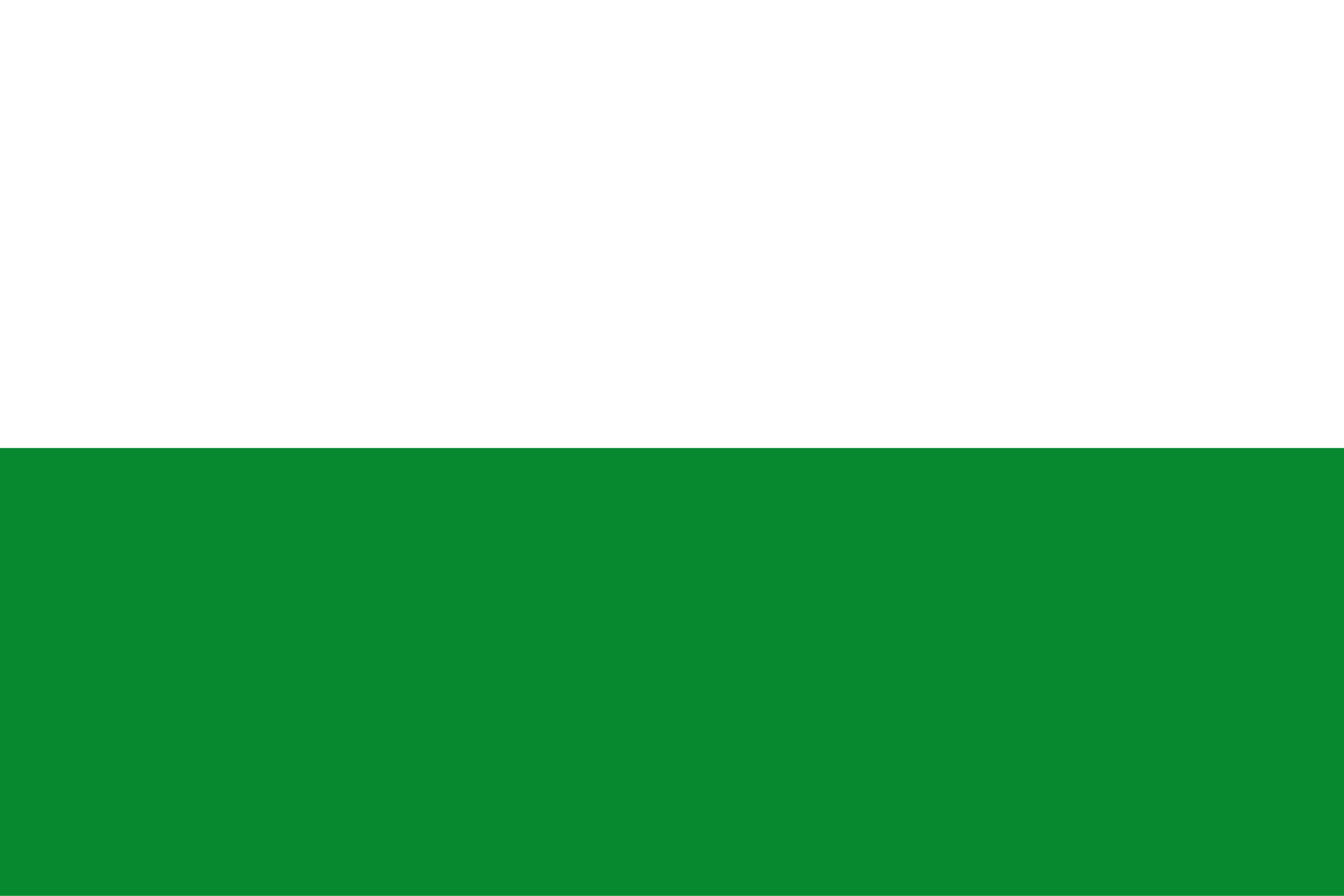 Flag Steiermark