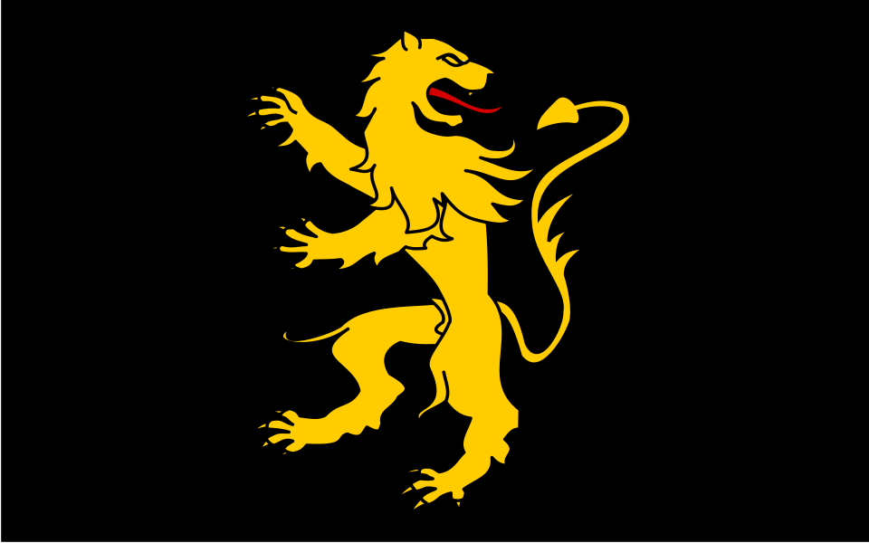 Cardiganshire flag
