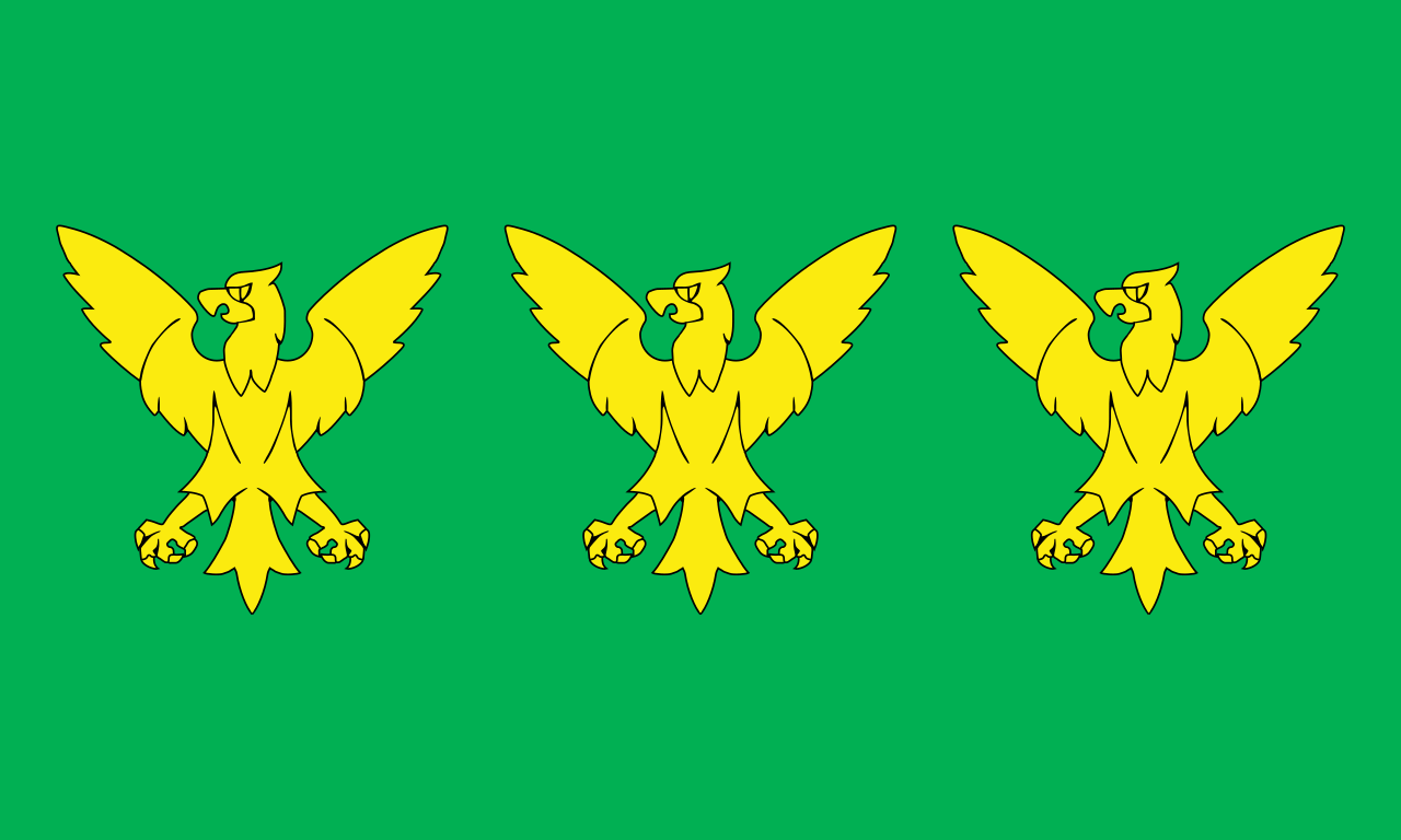 Caernarfonshire flag