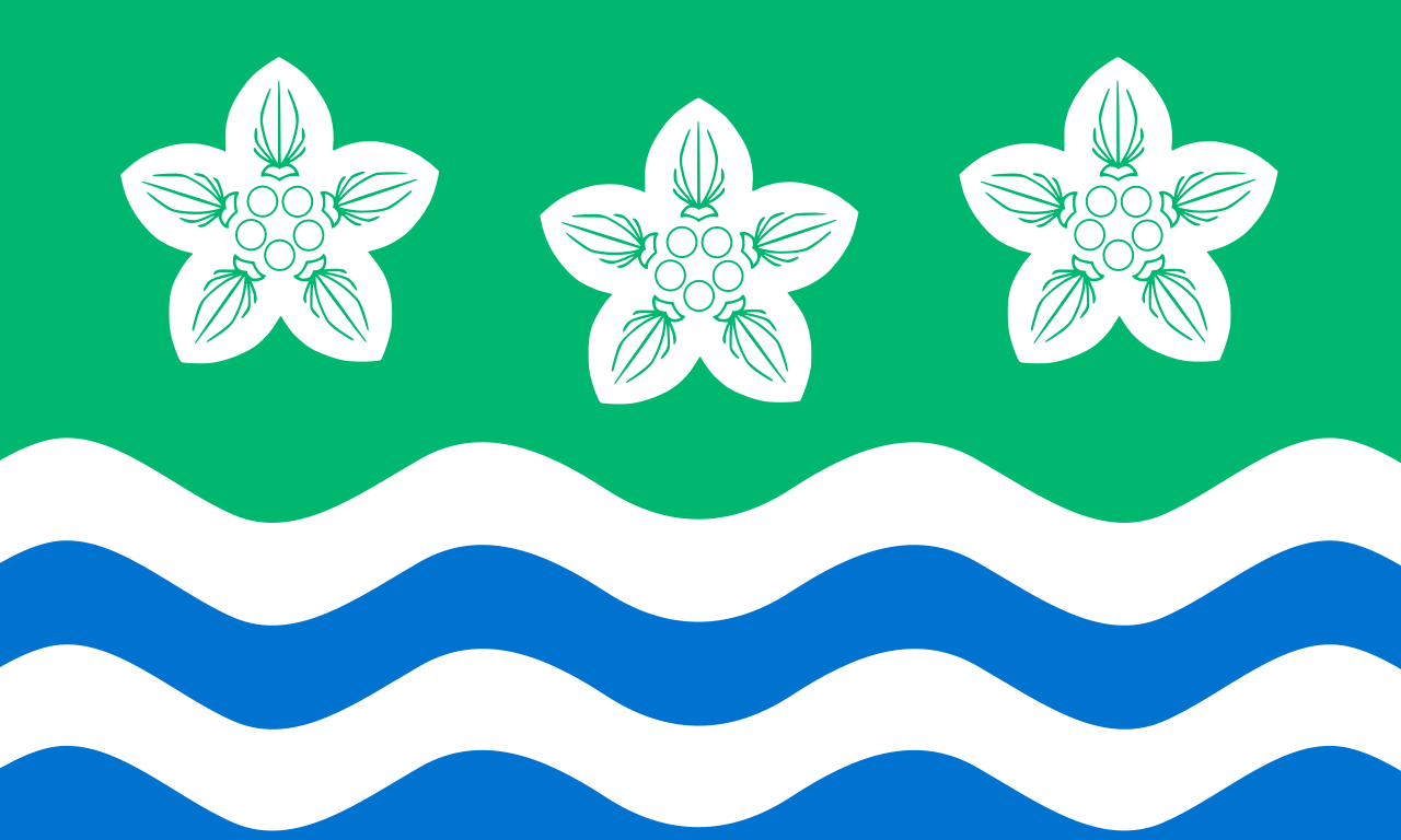 Cumberland flag