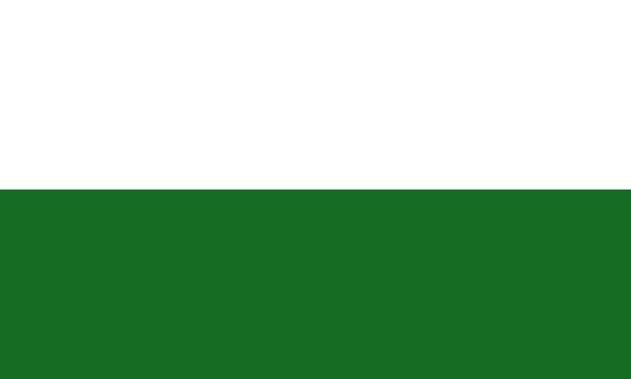 Flag Sachsen