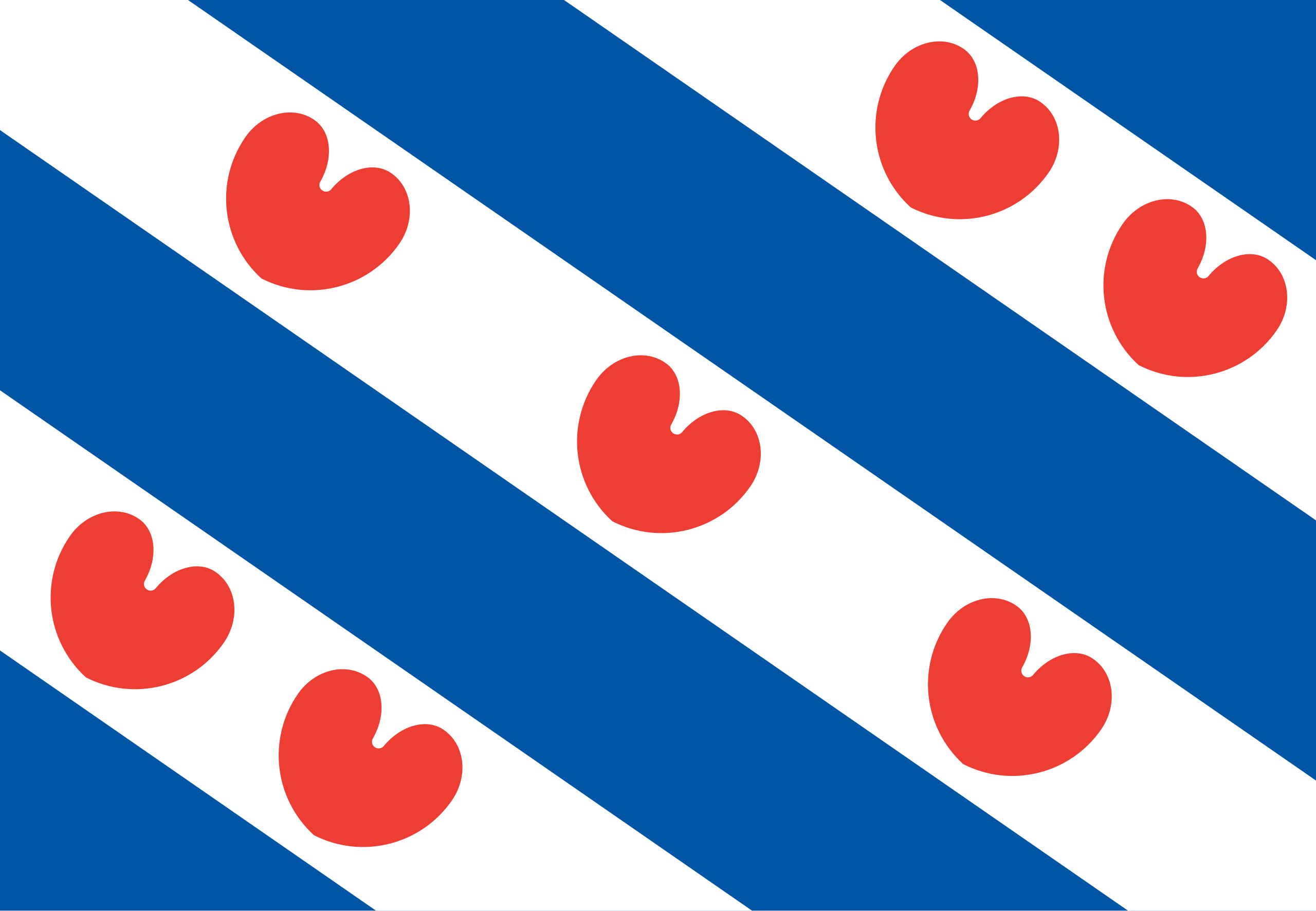 Flag Friesland (NL)
