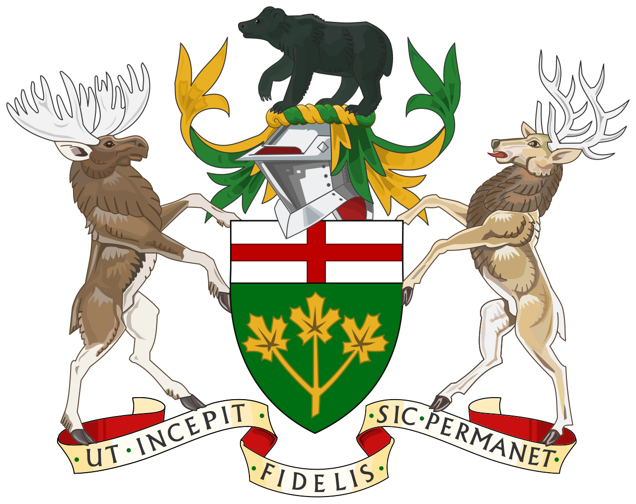 Seal Ontario