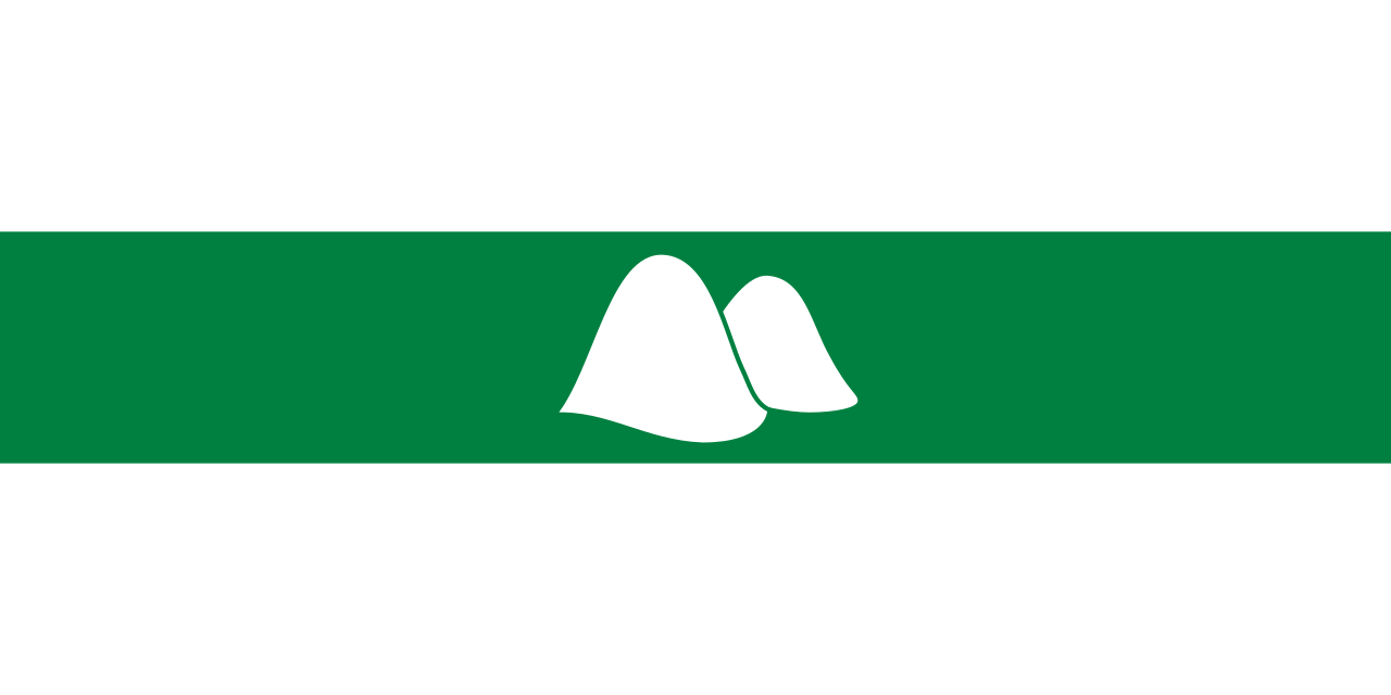 Flag Kurgan Oblast