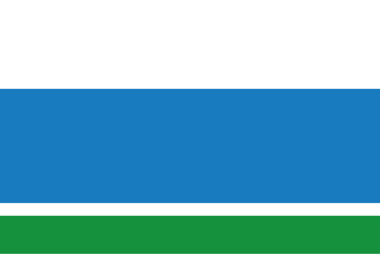 Flag Sverdlovsk Oblast