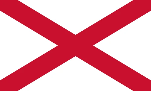 Saint Patrick's Saltire: a red saltire on a white field